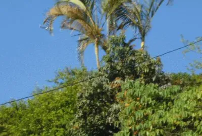 Paisaje jigsaw puzzle