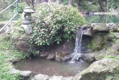 estanque jigsaw puzzle