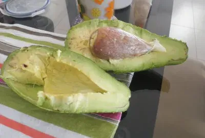 aguacate jigsaw puzzle