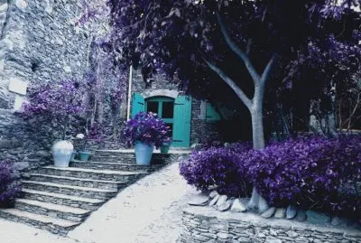 Purple Village Walkway