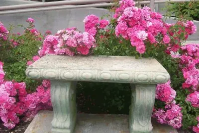 flores jigsaw puzzle