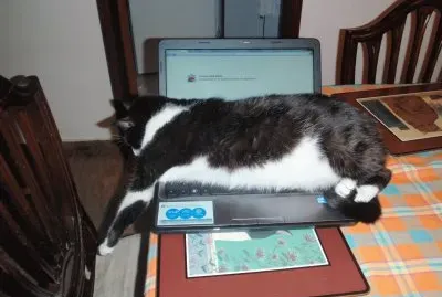 Que buen sitio para relajarme!!