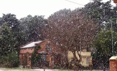 NÂº 22 jigsaw puzzle