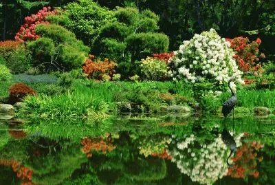 Natureza jigsaw puzzle