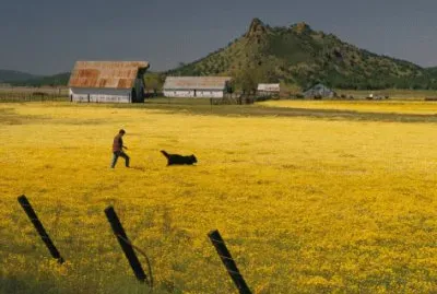 a man, his dog, and flowers