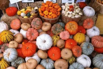 local pumpkins