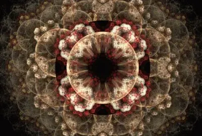 flower fractal