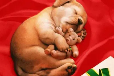 cachorro y su osito