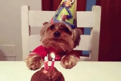 Feliz AniversÃ¡rio