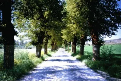 Caminho