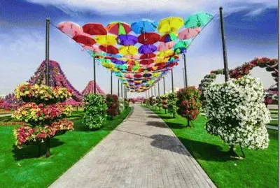 Caminho jigsaw puzzle