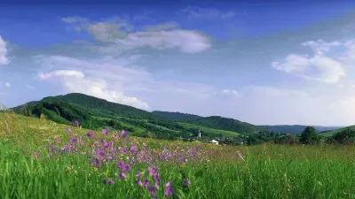 campo