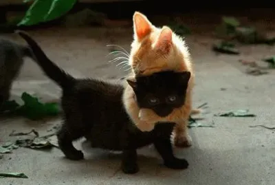 things jigsaw puzzle