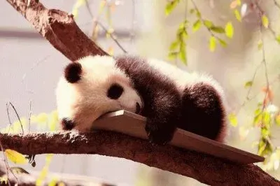 things jigsaw puzzle