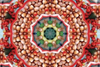 FaraÃ³n