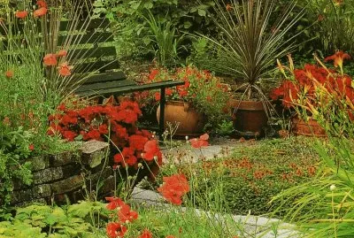 JardÃ­