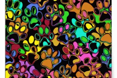 FaraÃ³n jigsaw puzzle