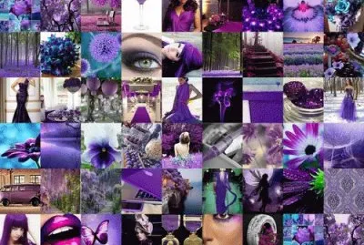 Colllage of Purple Things