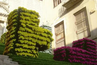 Temps de flors 2011