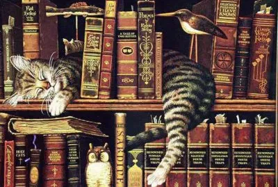 libreria