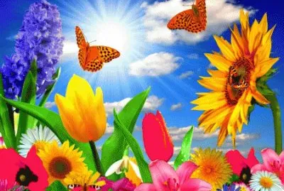 image jigsaw puzzle