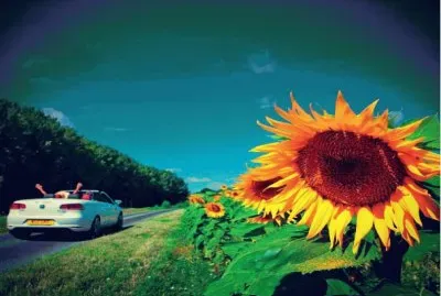 610