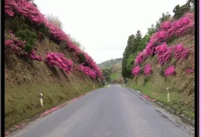 Caminho 1