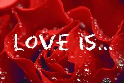 papel de parede.....