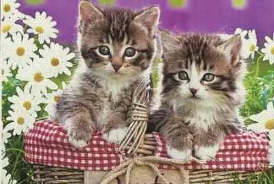 image jigsaw puzzle