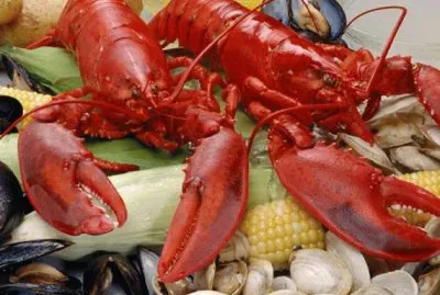 New England clam bake