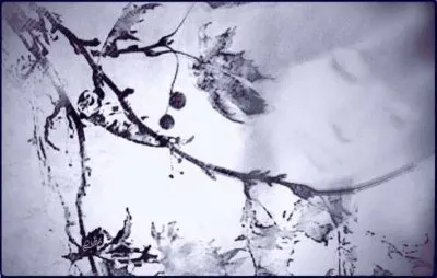 Inverno jigsaw puzzle