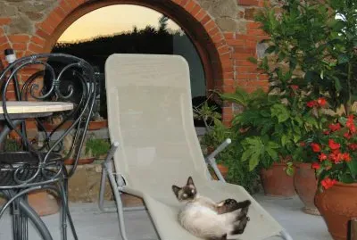 Relax