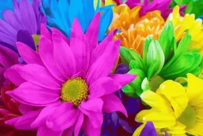 flores