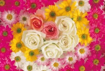 image jigsaw puzzle