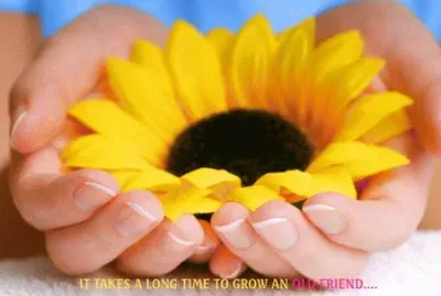 image jigsaw puzzle