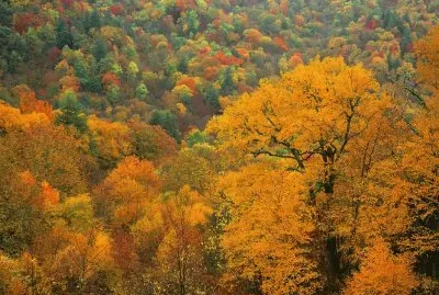 Appalachian autumn