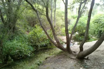 NACIMIENTO RIO VINALOPO