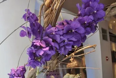 Purple Vanda Orchids