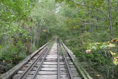 Pinebarrens Atsion trestle