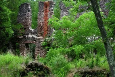 Haunted Pinelands