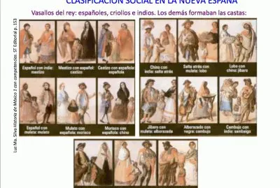 En Nueva EspaÃ±a la divisiÃ³n social era clara