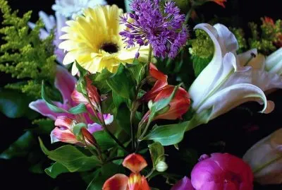 FLORES jigsaw puzzle