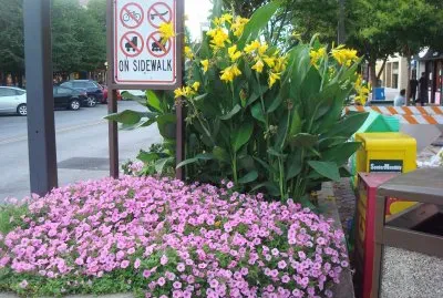 jardinera