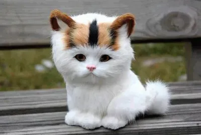 things jigsaw puzzle