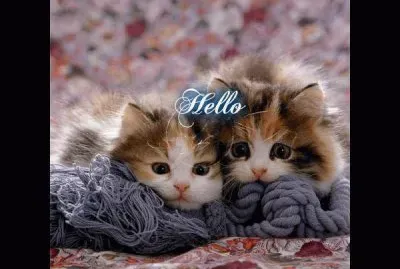 things jigsaw puzzle