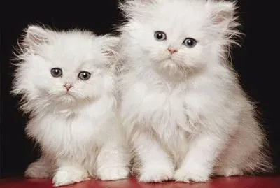 things jigsaw puzzle