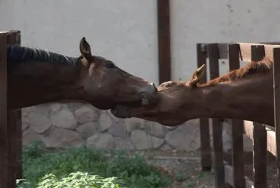 things jigsaw puzzle