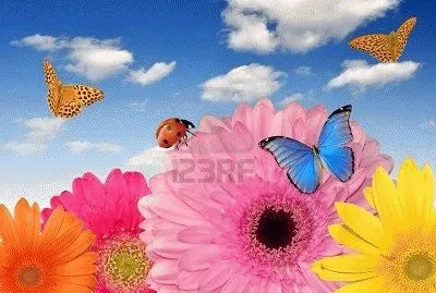 image jigsaw puzzle