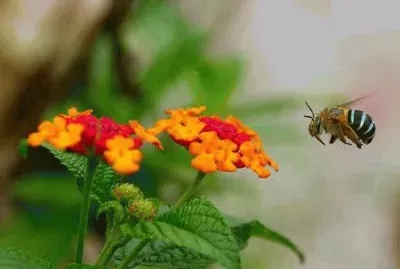 things jigsaw puzzle