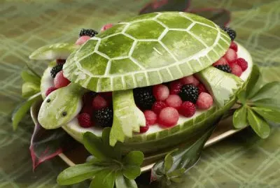 melon as turtle